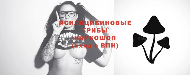 ГАЛЛЮЦИНОГЕННЫЕ ГРИБЫ Верхнеуральск